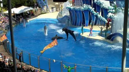 The Cove (2009)