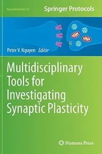 Multidisciplinary Tools for Investigating Synaptic Plasticity