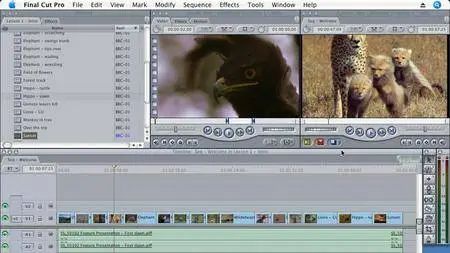 Final Cut Pro 6 Essential Editing