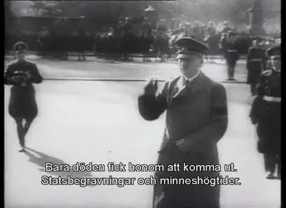 Hitler a Career part 2