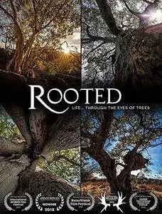 BlueAntMedia - Rooted: Series 1 (2017)