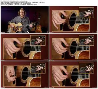 Lynda - Beginning Acoustic Guitar