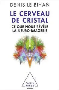 Le Cerveau de cristal: Ce que nous révèle la neuro-imagerie