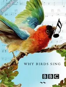 BBC - Why Birds Sing (2007)