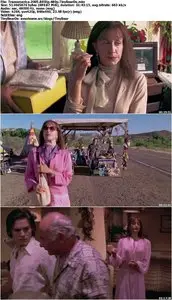 Transamerica (2005) [Reuploaded]