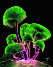 Screensavers for Mobile Phone #1