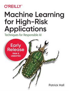 Machine Learning for High-Risk Applications