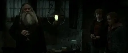 Harry Potter and the Deathly Hallows: Part 2 / Harry Potter und die Heiligtumer des Todes Teil 2 (2011)