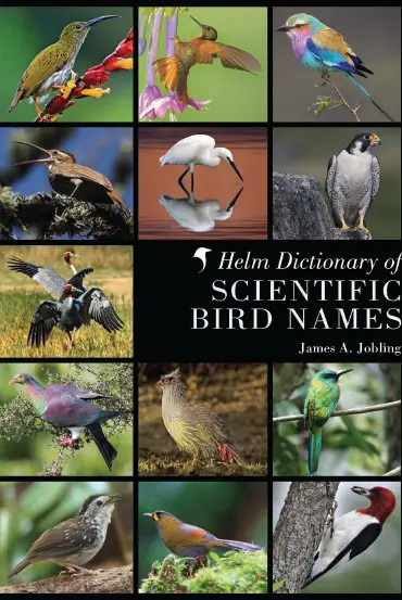 Helm Dictionary of Scientific Bird Names