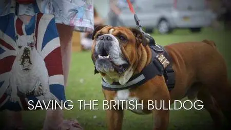 BBC - Saving the British Bulldog (2018)