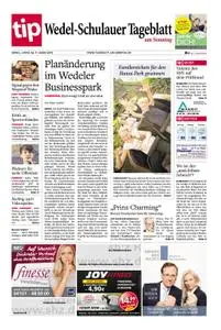 Wedel-Schulauer Tageblatt - 31. März 2019