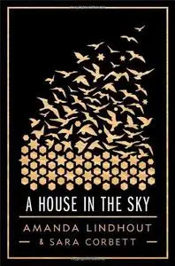 A house in the sky : a memoir