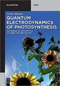 Quantum Electrodynamics of Photosynthesis