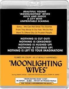 Moonlighting Wives (1966)