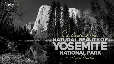Capturing the Natural Beauty of Yosemite National Park