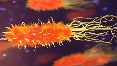 Microbiology : Unveiling The Microbiology