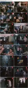Lessons at the End of Spring (1991) 