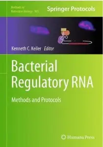 Bacterial Regulatory RNA: Methods and Protocols