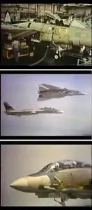 Iranian F-14 Tomcats