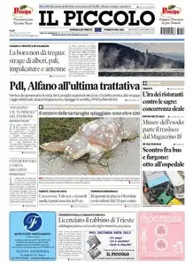 Il Piccolo Trieste/Gorizia - 13.11.2013