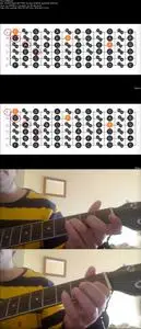 Beginner's Learning Guide To Playing The Guitar