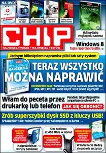 Chip - August 2011 (Poland)