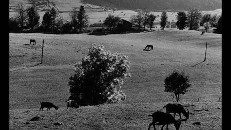 La jetee (1962)