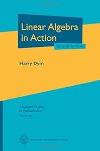 Linear Algebra in Action (Graduate Studies in Mathematics)  Ed 2