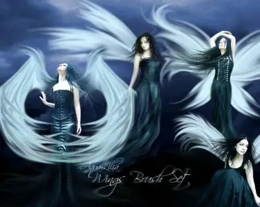 AquaLilia Wings Brushes