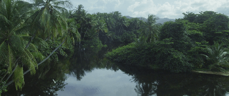 Hurricane, the wind odyssey / Ouragan, l'odyssée d'un vent (2015)