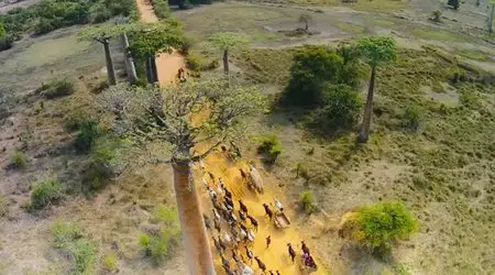 Island of Lemurs: Madagascar (2014)