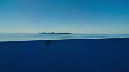 Blue Planet II S01E04