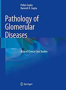 Pathology of Glomerular Diseases: Atlas of Clinical Case Studies