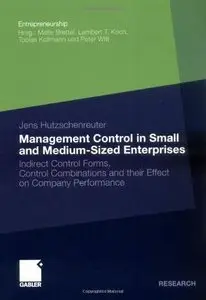 Management Control in Small and Medium-Sized Enterprises