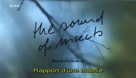 (Arte) Le chant des insectes - Rapport d'une momie (2011)