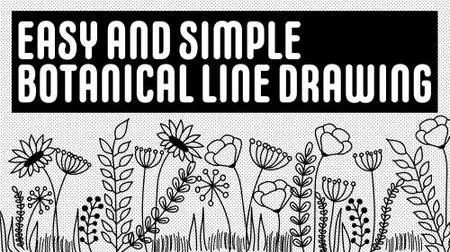 Easy and Simple Botanical Line Drawings - 15+ Flowers, 25+ Leaves and Fillers and 2+ Compositions.