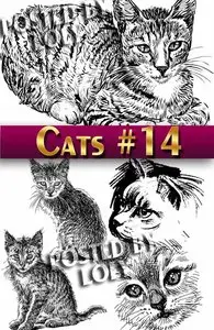 Wonderful kittens #14 - Stock Vector