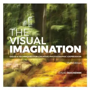 The Visual Imagination: Ideas and Techniques for Creative Photographic Expression, 2nd Edition