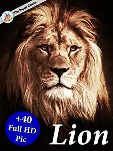 Lion Picture Book: +40 Full HD Photo of Grown Up And Baby Lions