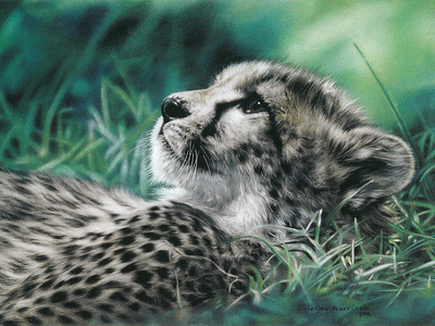 Work by Lesley Harrison