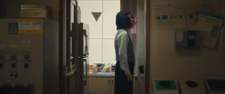 Kumiko, the Treasure Hunter (2014)