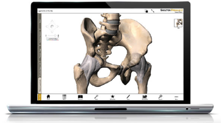 Visible Body Skeleton Premium v2.0.0 MacOSX (Repack)