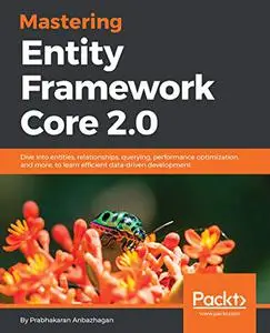 Mastering Entity Framework Core 2.0 (Repost)