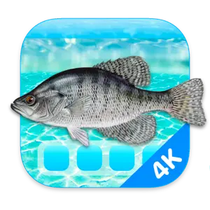 Aquarium 4K - Live Wallpaper 1.1.0