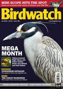 Birdwatch UK - Issue 385 - July 2024