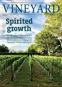 Vineyard - June 2025