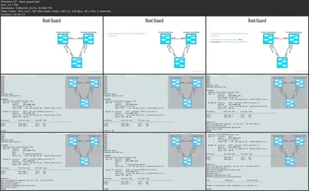 Cisco Certified Network Associate (CCNA) v1.1 (200-301) Cert Prep