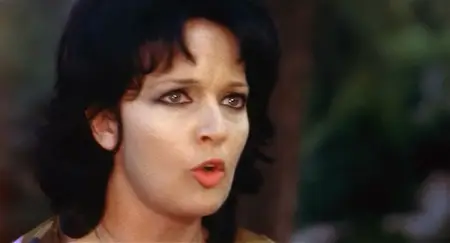 Seduction (1973)  [MultiSubs] + Extras