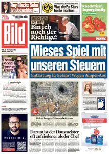 Bild - 15 November 2024