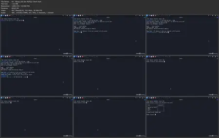 Ethical Hacking: Web- und Datenbank-Angriffe